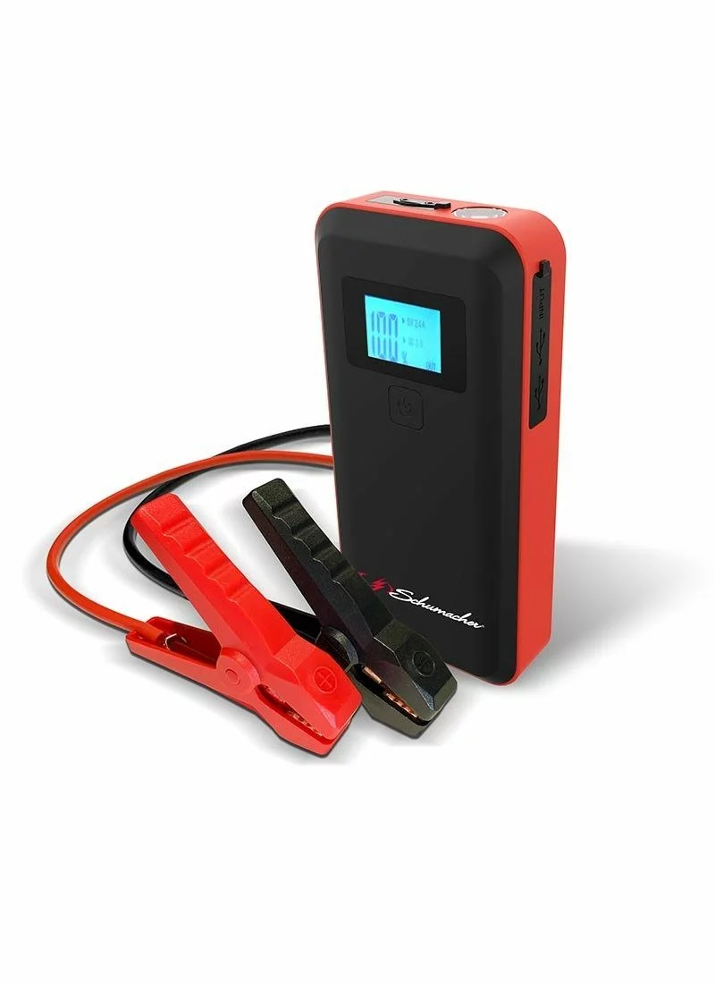 800 Peak Amp Lithium Ion Power Pack