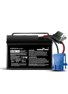 Charge ‘n Ride 12V rechargeable replacement battery with replaceable fuse.